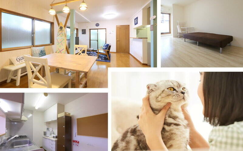 豐中 Cat’s
