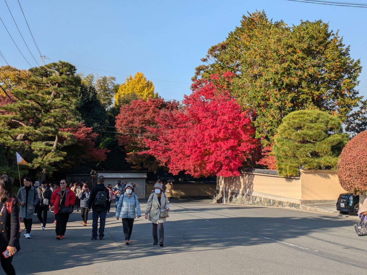 東福寺駅周辺のグルメ・飲食店情報